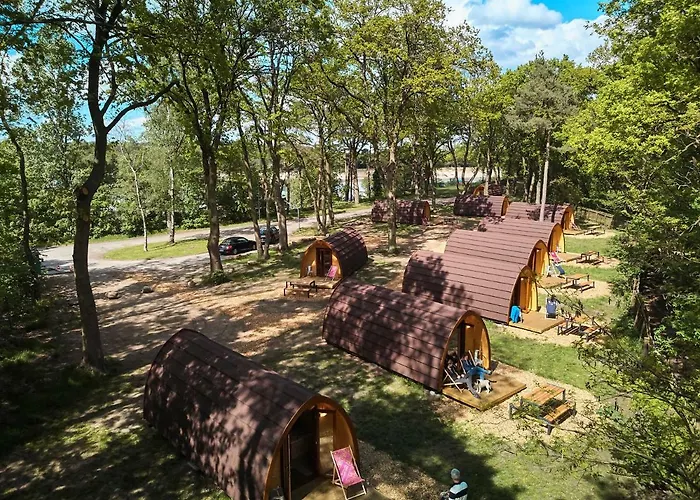 Erholungsgebiet Blauer Kamp alanı